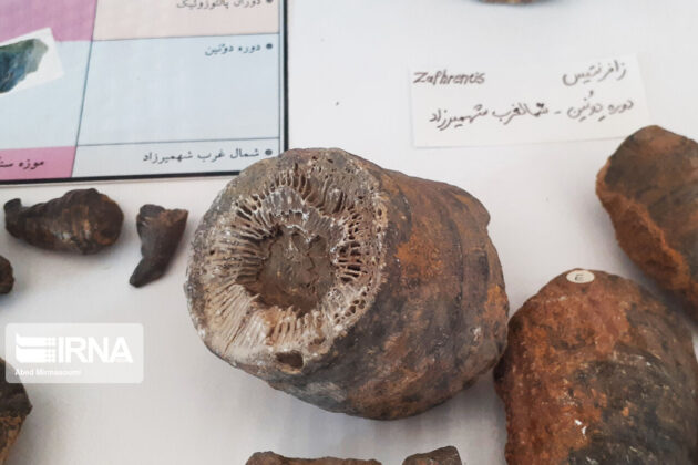 Sangsar Museum of Rocks & Fossils; Unique Attraction in Central Iran