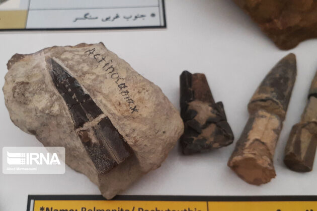 Sangsar Museum of Rocks & Fossils; Unique Attraction in Central Iran