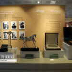 Iran’s Nat'l Sports Museum: A Display of Nation’s Athletic History, Honours