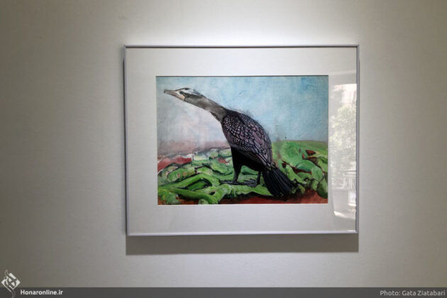 Iranian artist holds exhibition entitled “Amazed by Bird”