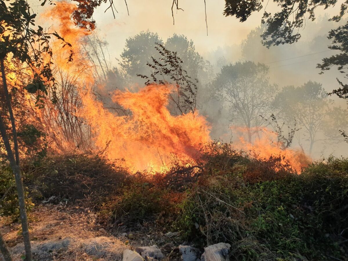Wildfire burning Iran’s Kouh-e-Nour forests 1 Wildfire burning Iran’s Kouh-e-Nour forests