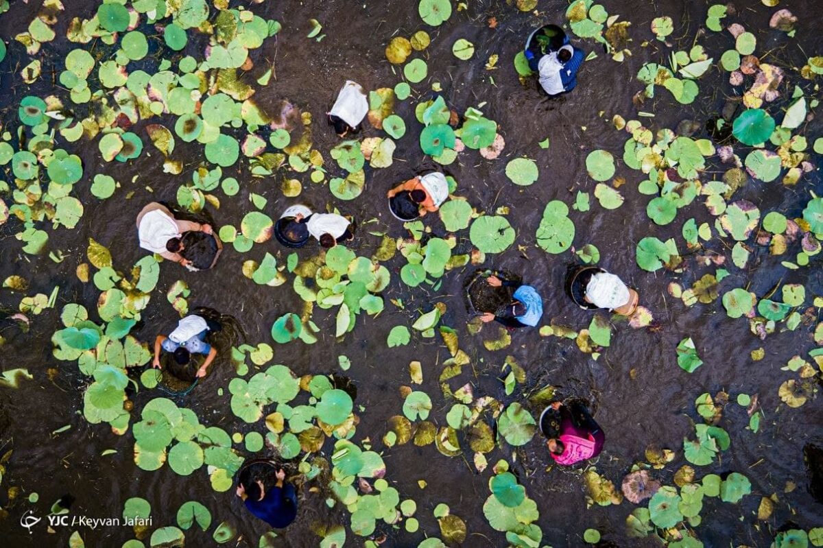 Closure removal ritual