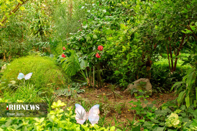 The Butterfly Garden Museum of Isfahan