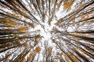 Iran’s Hamedan city: Picturesque, colorful in fall season