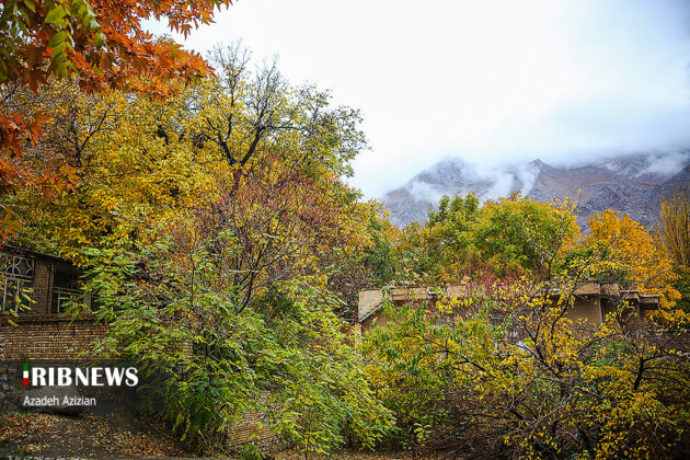 Fantastic autumn in central Iranian city of Khansar
