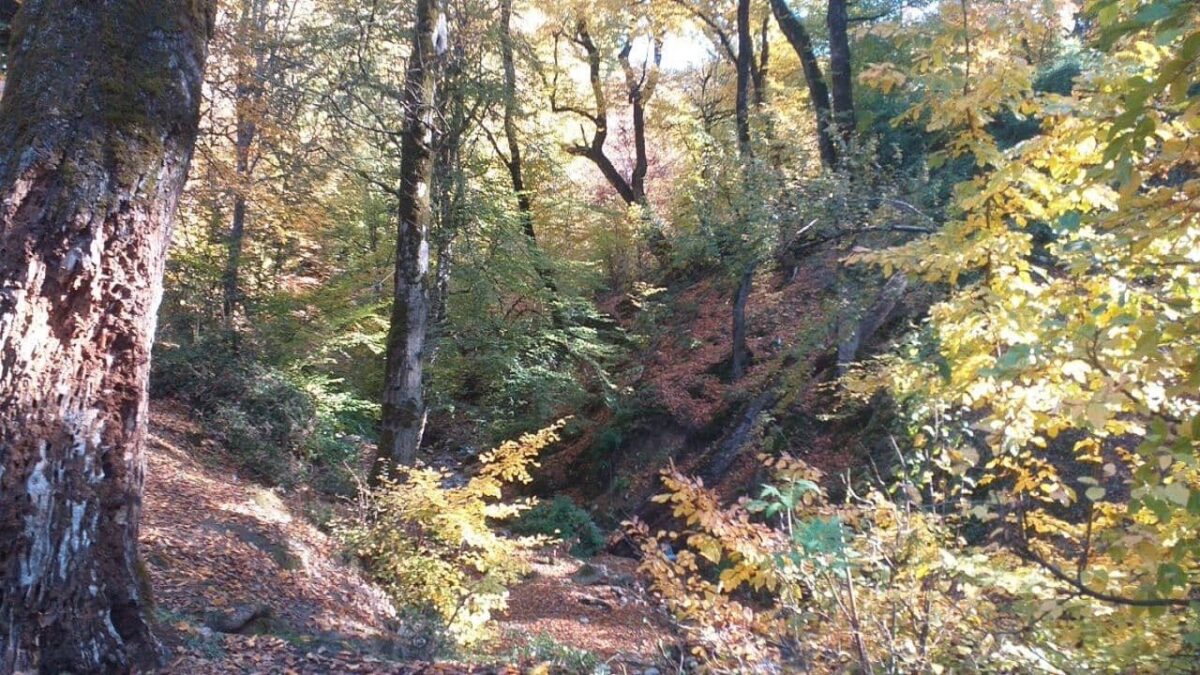Marzban 1000-year-old village in northern Iran 5 Marzban 1000-year-old village in northern Iran