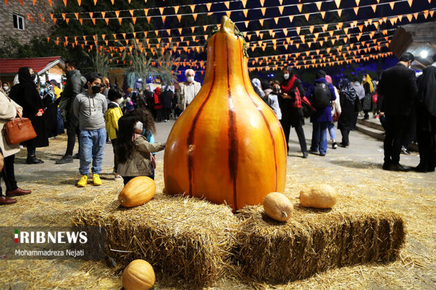 Traditional pumpkin festival held in north iran