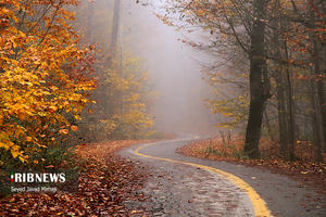 Foggy autumn of Deraz-e-Now Village, Golestan province