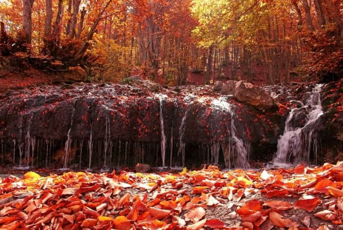 IMG_20211206_140939_418