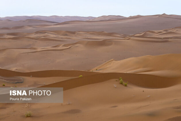 lut desert 19