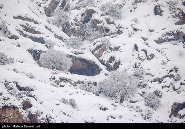 Winter Nature of Iran’s Lake Urmia Islands