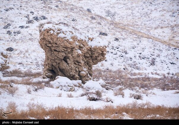 Winter Nature of Iran’s Lake Urmia Islands