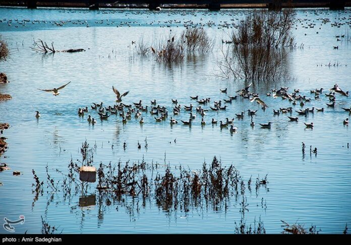 A2ACBC5F-031A-4ABE-A763-5CB2CF0DF1F3