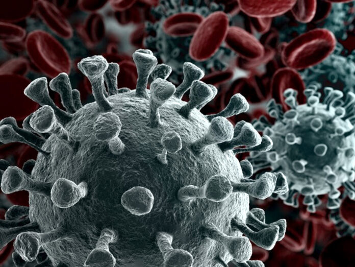 covid New Iran-made test kit can detect COVID-19 in 20 seconds