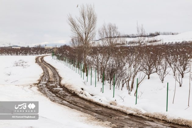 Wintery Nowruz: Arasbaran blanketed by Spring Snow