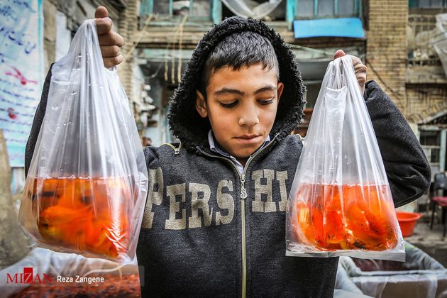 Nowruz traditions: Goldfish, guests at Haft Seen tables