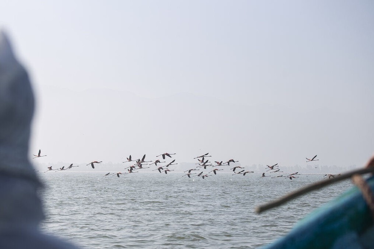petrochemical factory in Iran’s Miankaleh