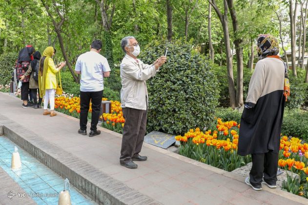 Iranian Garden