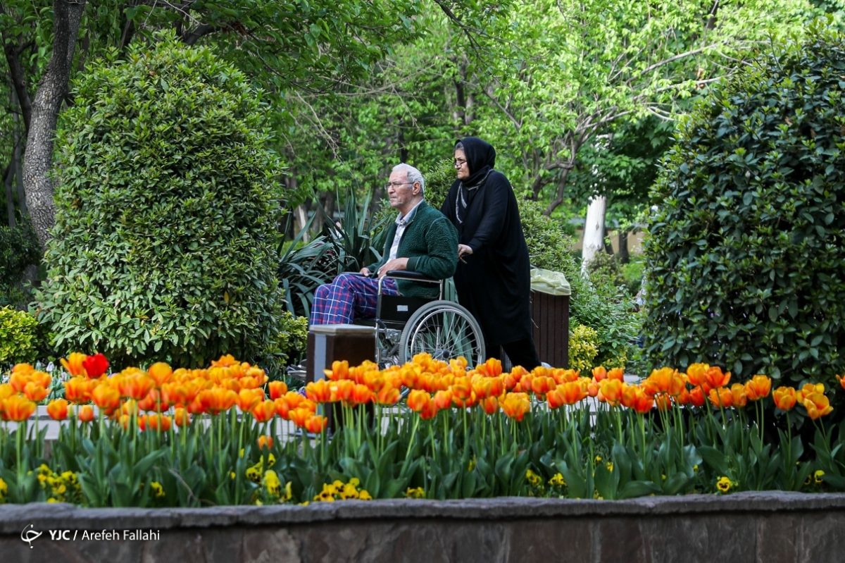Iranian Garden