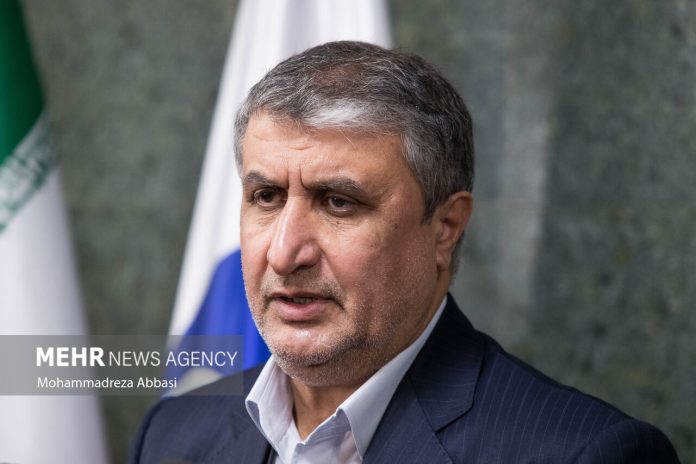 Director of the Atomic Energy Organization of Iran, Mohammad Eslami