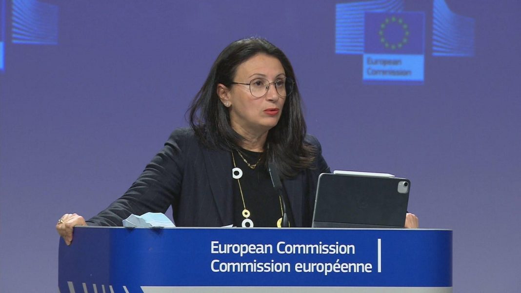 EU Spokesperson for Foreign Affairs and Security Policy Nabila Massrali