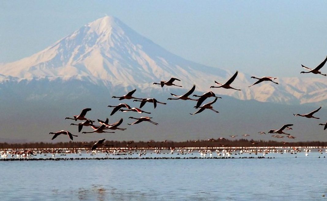 Iran Migratory birds