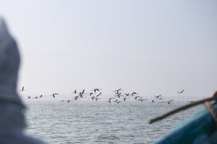 petrochemical factory in Iran’s Miankaleh