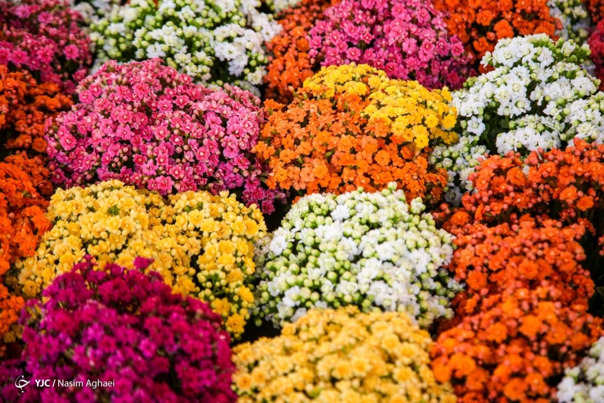 Tehran’s 18th International Exhibition of Flowers and Plants
