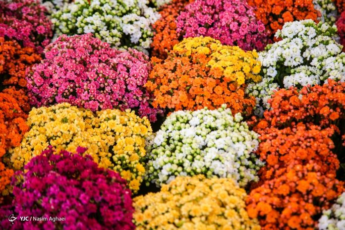 Tehran’s 18th International Exhibition of Flowers and Plants