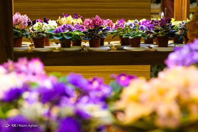 Tehran’s 18th International Exhibition of Flowers and Plants