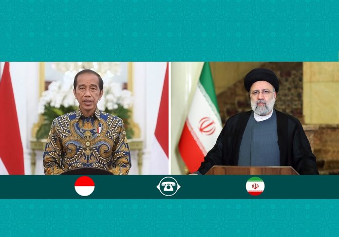 Ebrahim Raisi & Joko Widodo