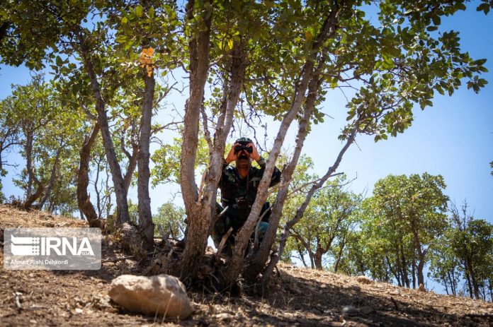 Iran wildlife rangers