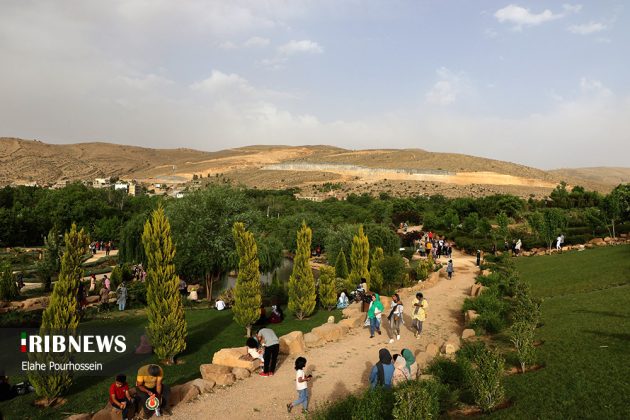 National Festival of Citrus Aurantium in Shiraz