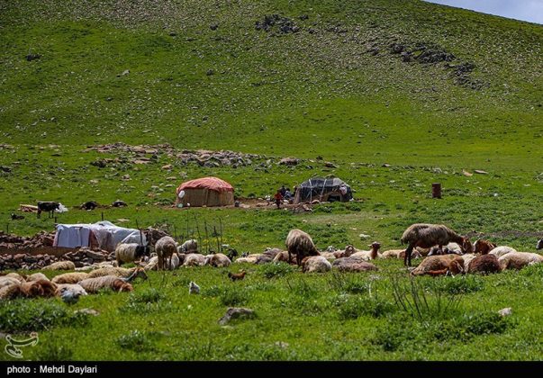 Iran nomadic tribes