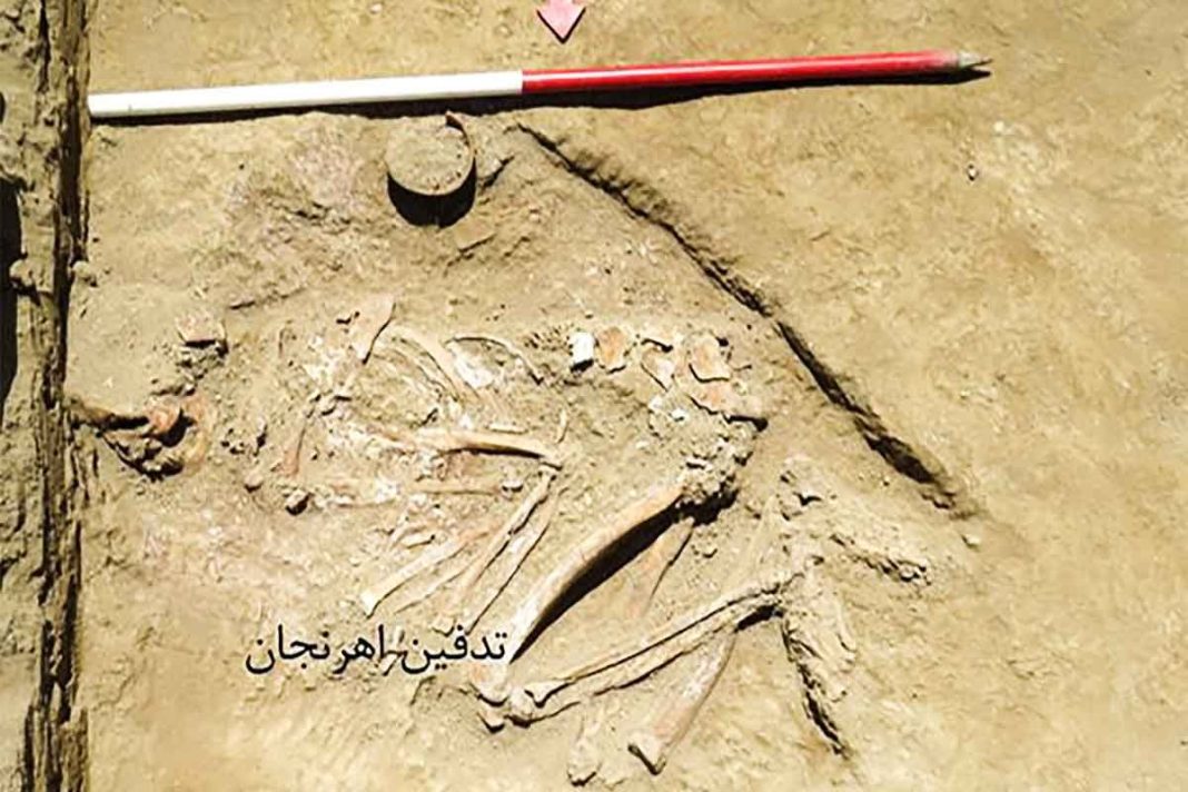 Graves discovered in Iran