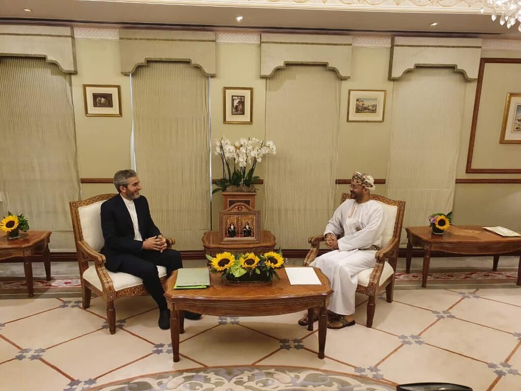 Iranian Deputy Foreign Minister for Political Affairs Ali Bagheri Kani and Oman’s Foreign Minister Badr bin Hamad al-Busaidi