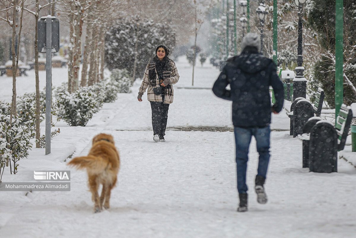 Temperatures below freezing point in most of Iran as cold spell, gas shortage stings 1 Snow in Iran
