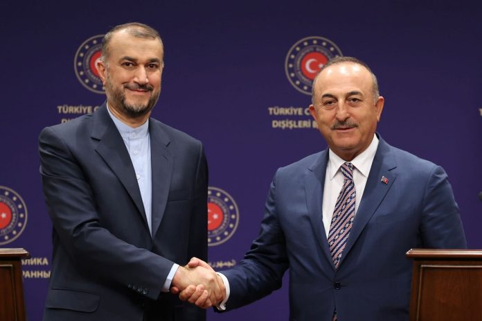Hossein Amirabdollahian and Mevlut Cavusoglu