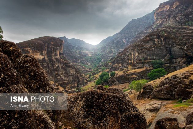 ‘Velvet Mountain’ in Iran’s western Lorestan Province 