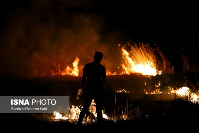 Meighan desert wetland Meighan desert wetland