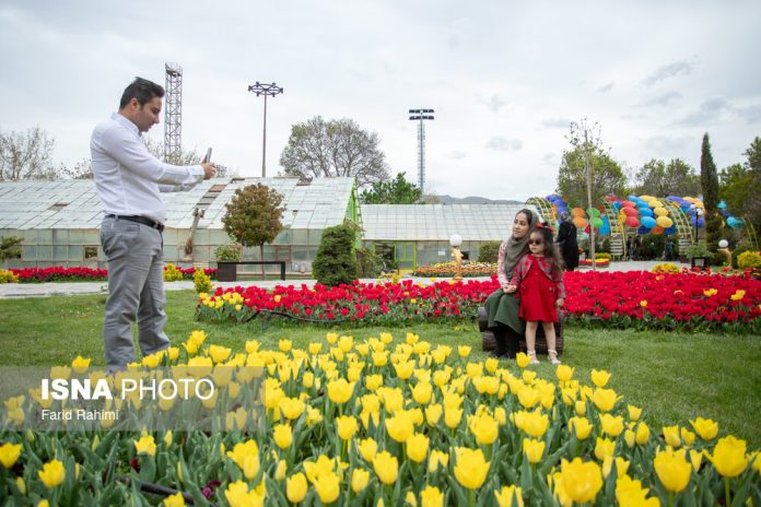Tulip Festival in Iran