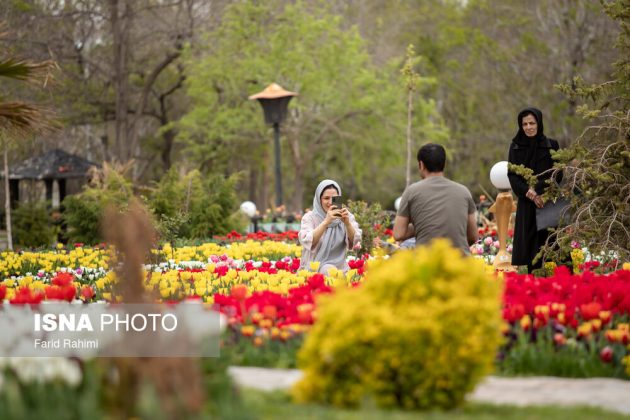 Tulip Festival in Iran