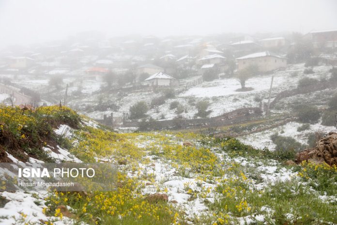 Snow whitens Iranian town in spring