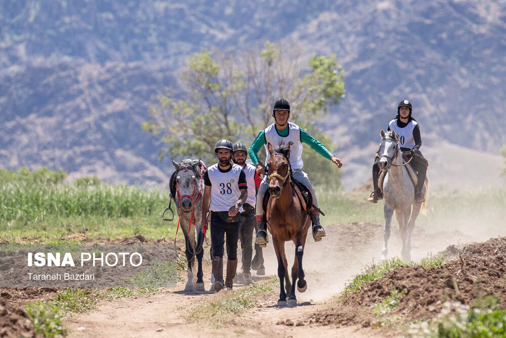 National endurance horseback riding races in Iran