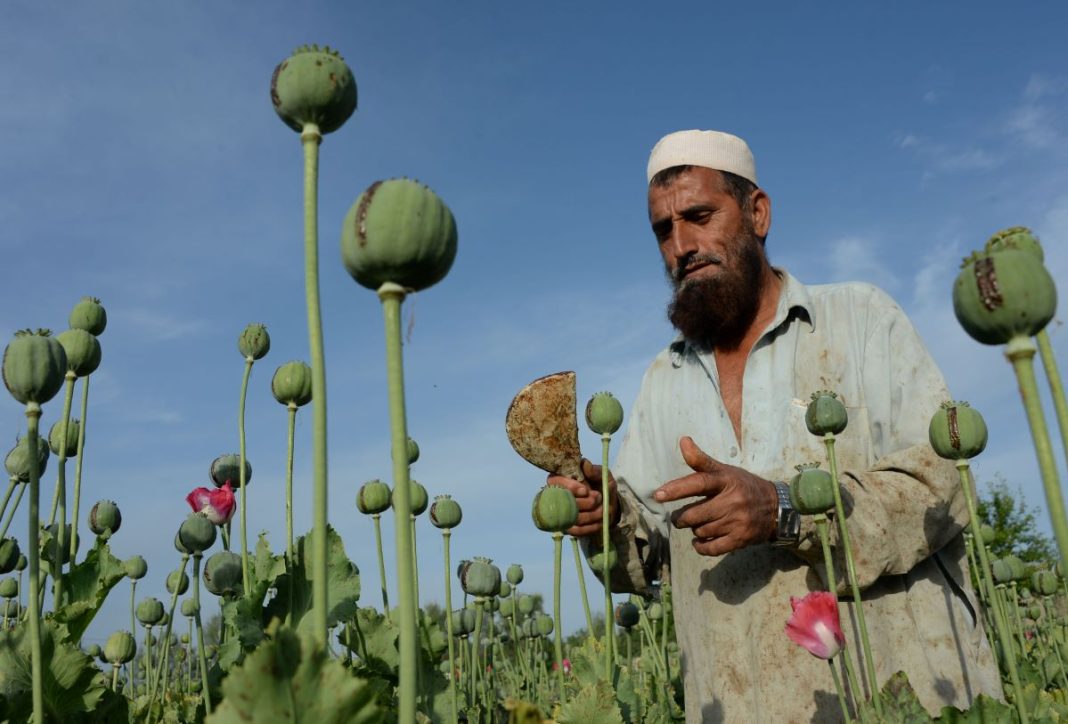Afghanistan Drug