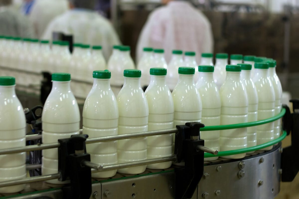 FAO names Iran as largest dairy exporter in Asia 1 Iran dairy