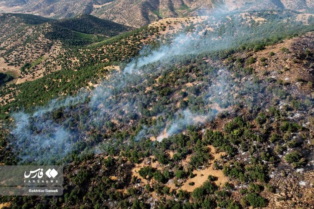 Wildfires Iranian forests