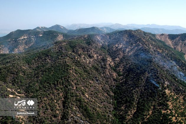 Wildfires Iranian forests