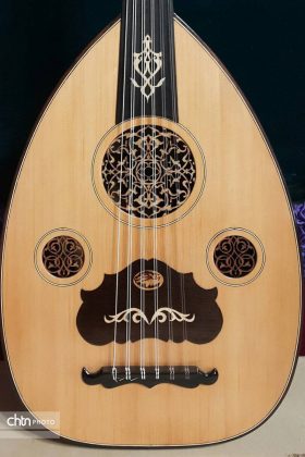 The Oud Iranian musical instrument