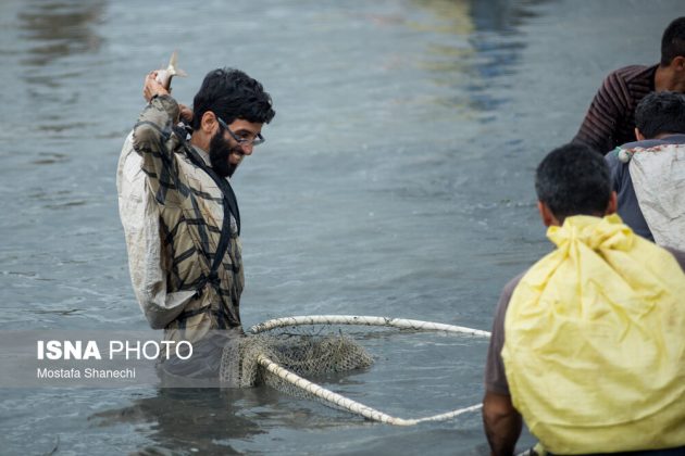 Removal of fishing ban in Iran